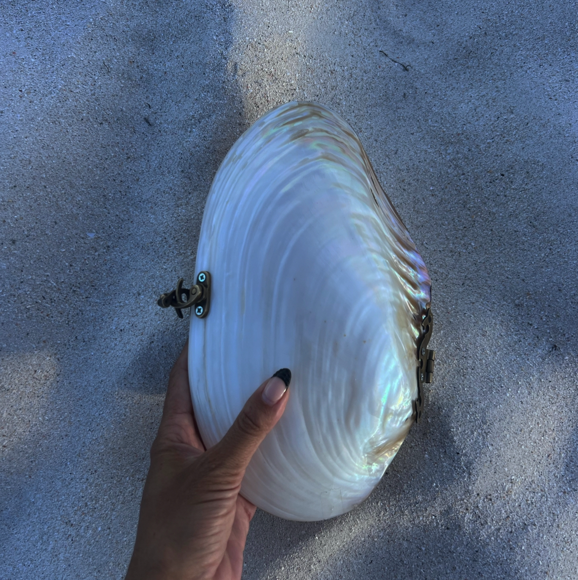 SHELL CLUTCH – Uhlalabyll
