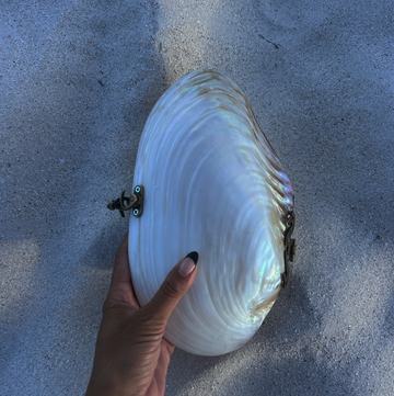 SHELL CLUTCH